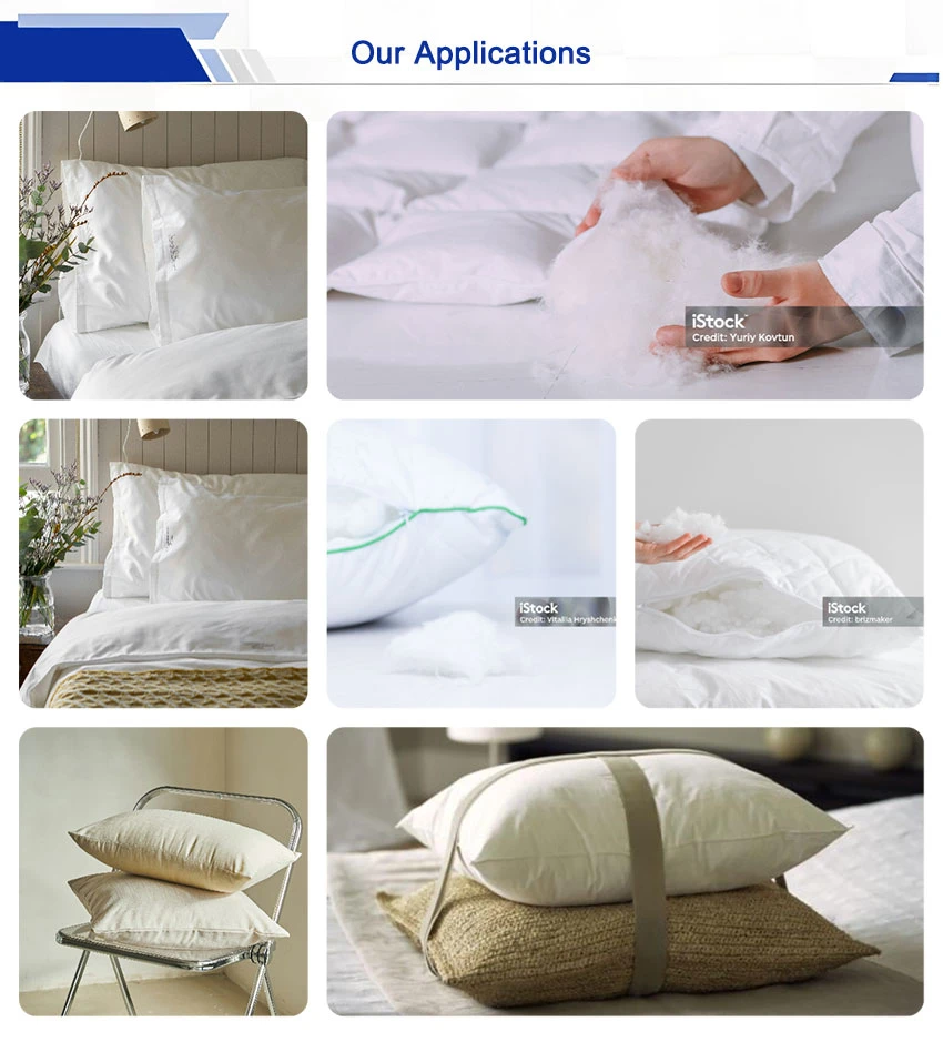 Our applications Our applications